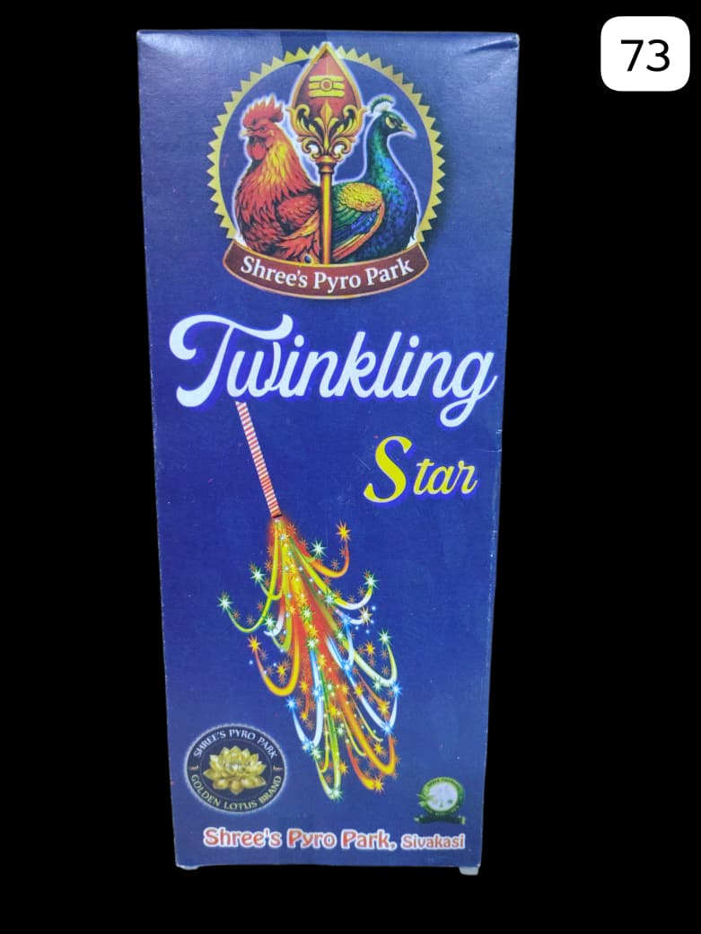 4' Twinkling Star